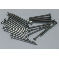 Low Carbon Polished Common Wire Nails